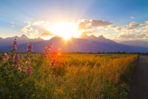 Jackson Hole valley and mountains