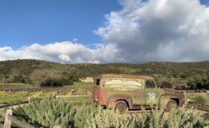 Retro van sitting in a field in Napa Valley