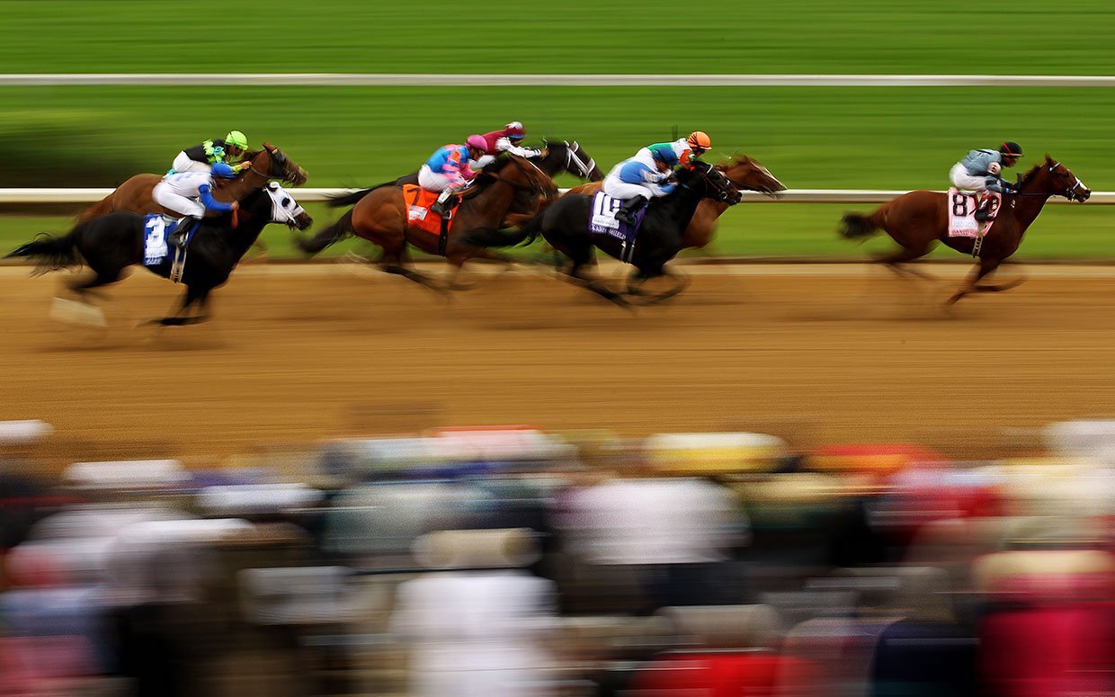 Photos Of 2024 Kentucky Derby Horses Blanca Rebecka